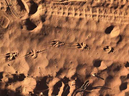 Sunday – January&nbsp;21