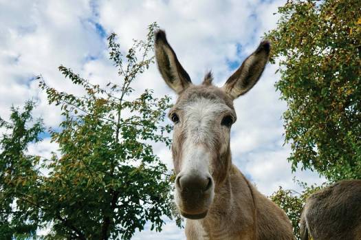 Sunday – March&nbsp;29